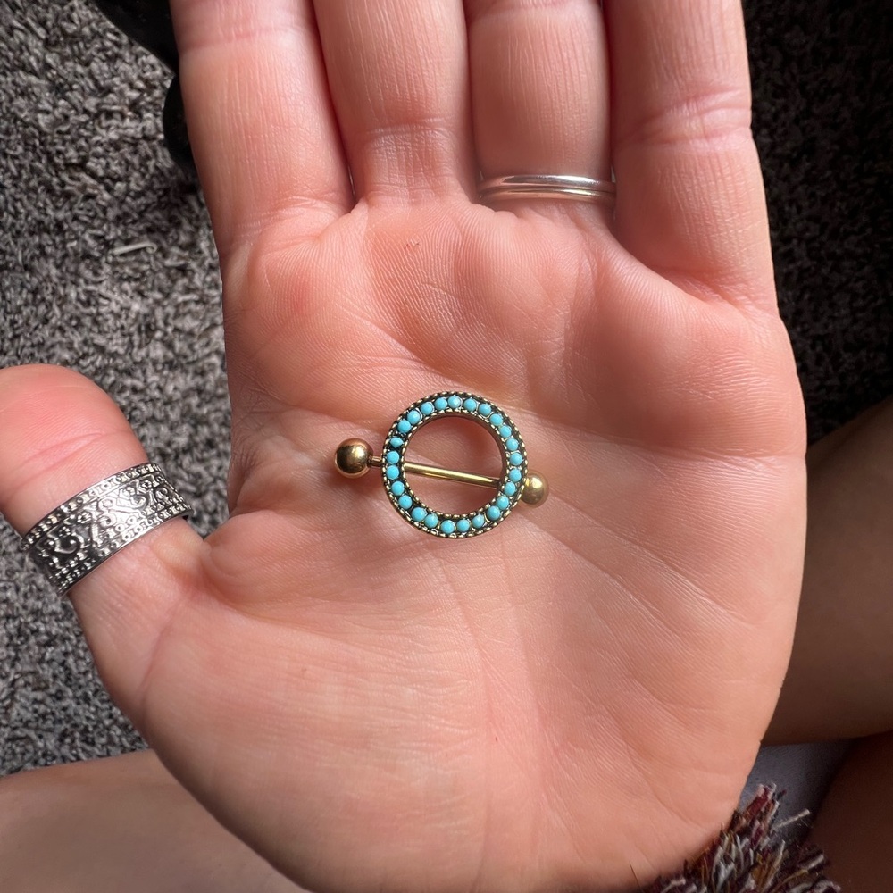 Various nipple rings